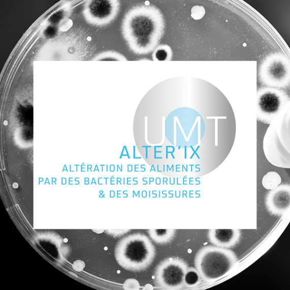 Actia Umt Alterix