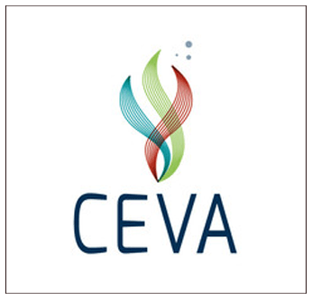 Ceva