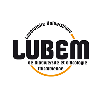 Lubem