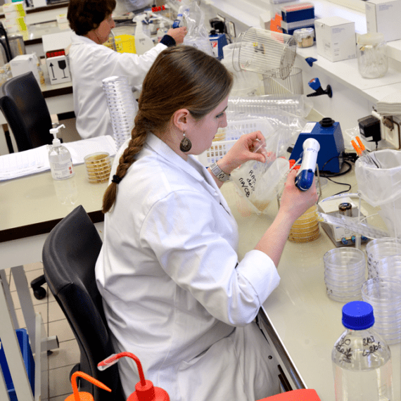 Laboratoires De Caracterisation De Biologie Et Microbiologie Moleculaire Adria Centre D Expertise Agroalimentaire Laboratoires De Caracterisation De Biologie Et Microbiologie Moleculaire Adria Centre D Expertise Agroalimentaire