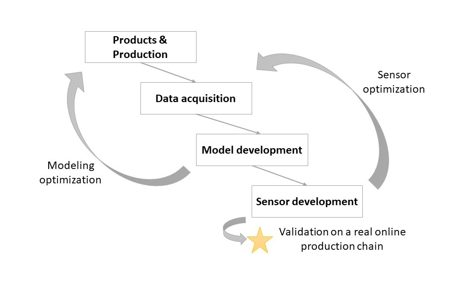 Plan P - schema