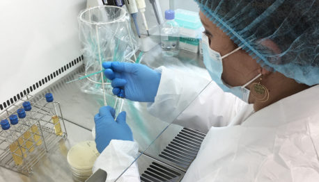 Laboratoire ADRIA