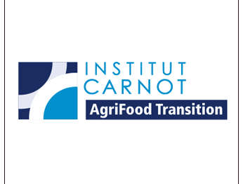 institut carnot