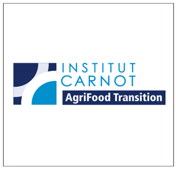 institut carnot