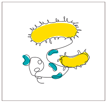 adria microorganisme bacterie pathogene