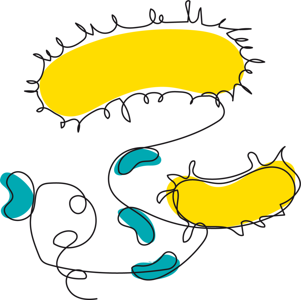 illu gestionmaitriserisquesmicrobiologiques 5