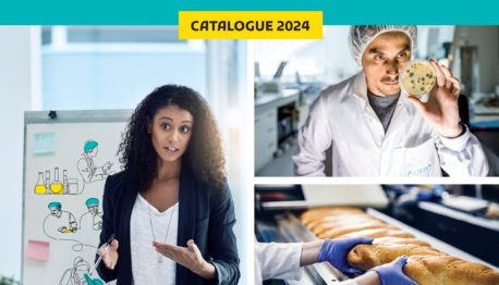 adria catalogue 2024