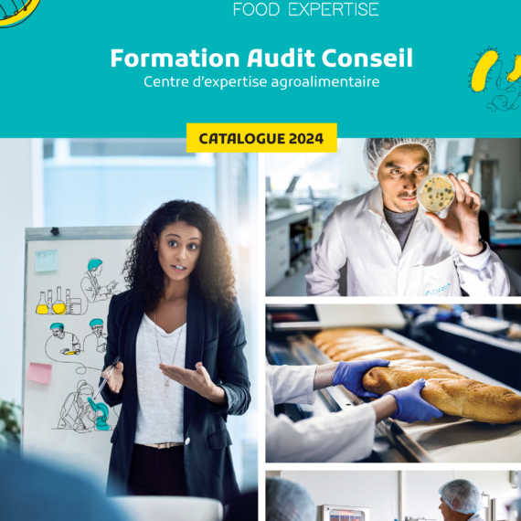 adria catalogue 2024
