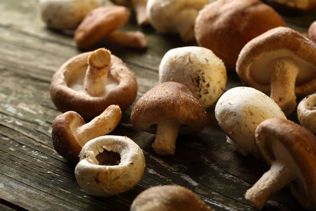 raw shiitake mushrooms, food closeup