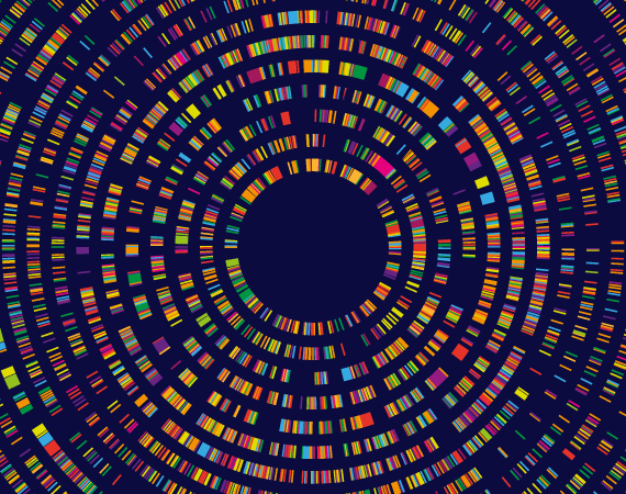 infographie du test adn. carte de séquence du génome, codage à barres radial bidimensionnel istock 1491115807