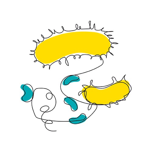 ill microbio