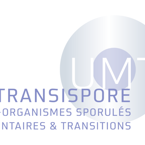 actia umt transispore ADRIA LUBEM logo