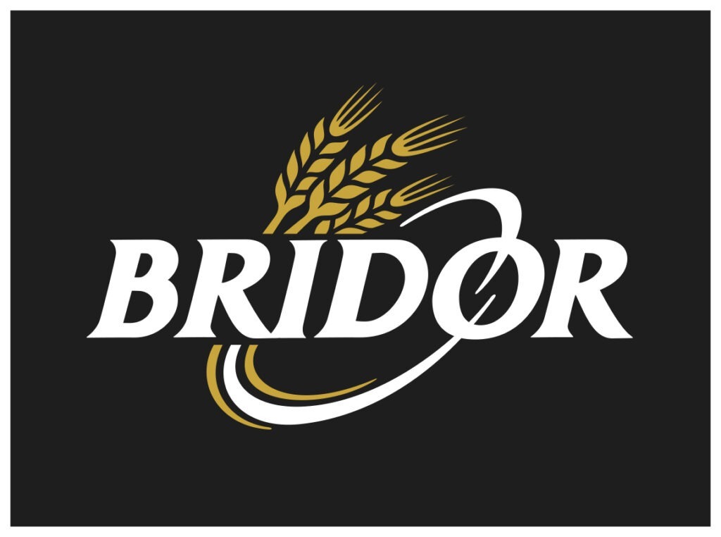 11523 e01 bri logo bridor ed rvb