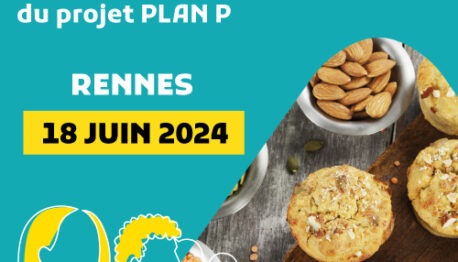 plan p visuel carré