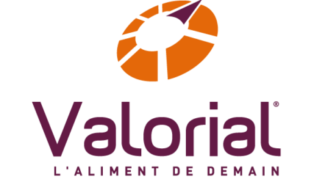 logo valorial quadri vertic transparent