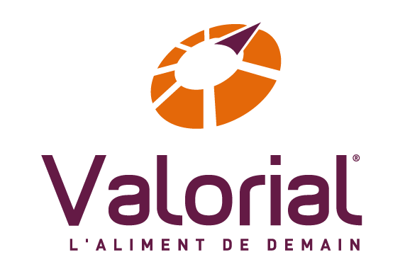 logo valorial quadri vertic transparent