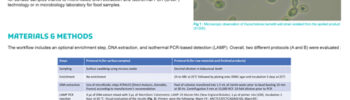 carre development and performance evaluation of isothermal pcr (lamp) to detect kazachstania barnettii in food samples and surfaces of food processing environment