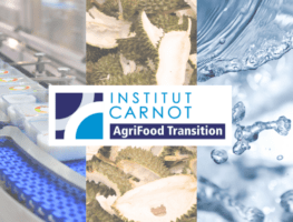 institut carnot photo
