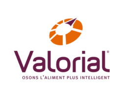 logo valorial 2017