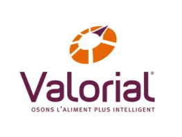 logo valorial 2017