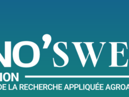 innosweet 2025