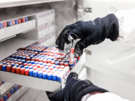 Méthode LAMP pour la détection rapide des germes indésirables dans l’agroalimentaire l'oeil de paco adria 2023 (49)