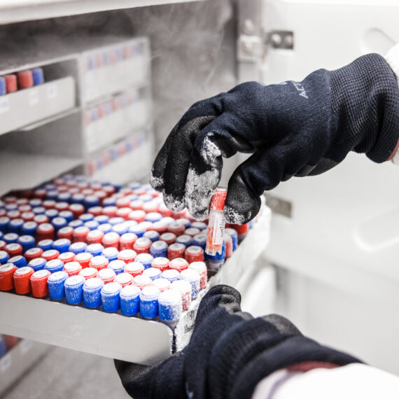 Méthode LAMP pour la détection rapide des germes indésirables dans l’agroalimentaire l'oeil de paco adria 2023 (49)