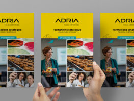 mockup a4 catalogue 2025 second semestre