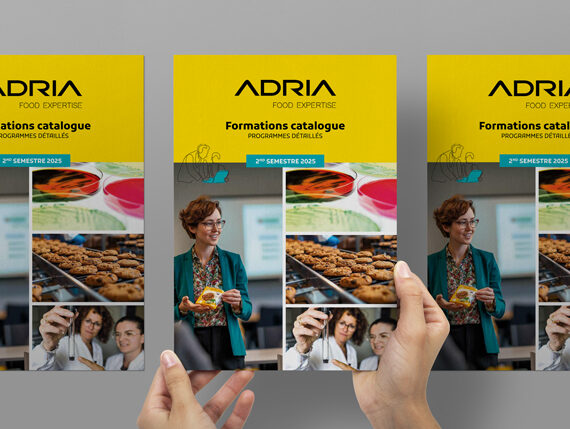 mockup a4 catalogue 2025 second semestre
