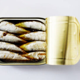 sardines in their tin.