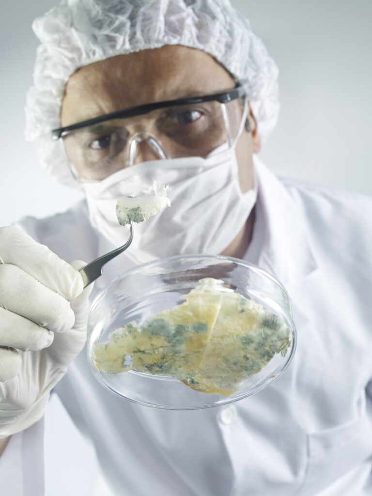 laboratoire, Équipement de laboratoire, personne, moisissure, boite de petri,gant