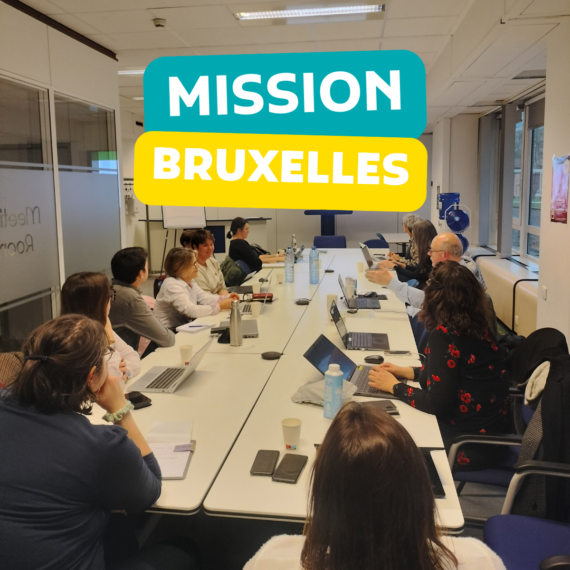 mission Bruxelles