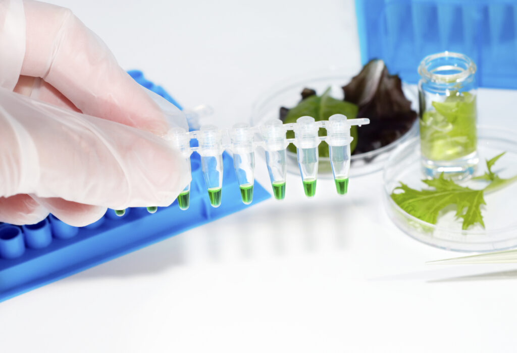 testing of vedetable samples